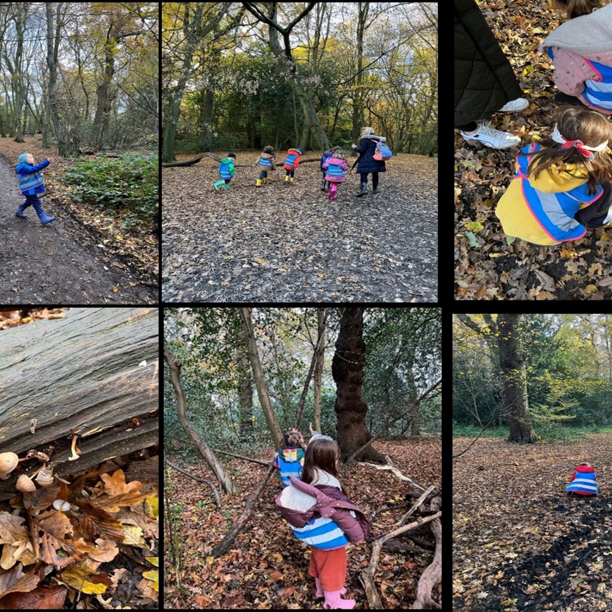 Tetherdown School Year 1 Highgate Woods Trip tetherdown-school-year-1-highgate-woods-trip
